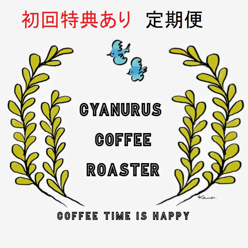 【送料無料+初回特典あり】CYANURUS COFFEE ROASTER　お得な定期便