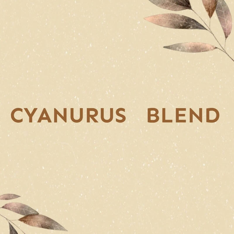 CYANURUS BLEND　100g