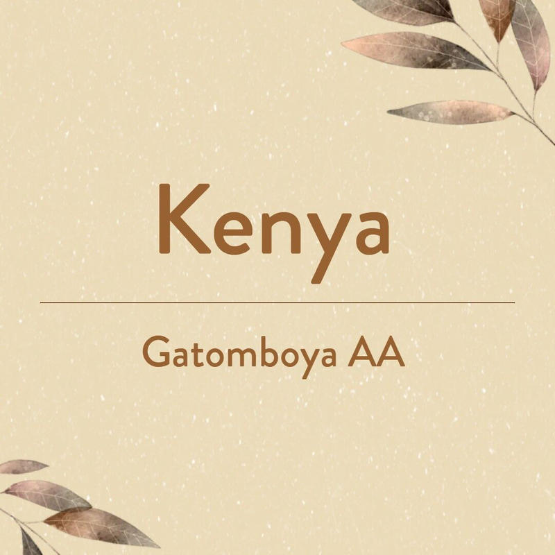Kenya Gatomboya AA 　ケニア　ガトンボヤ　浅煎り