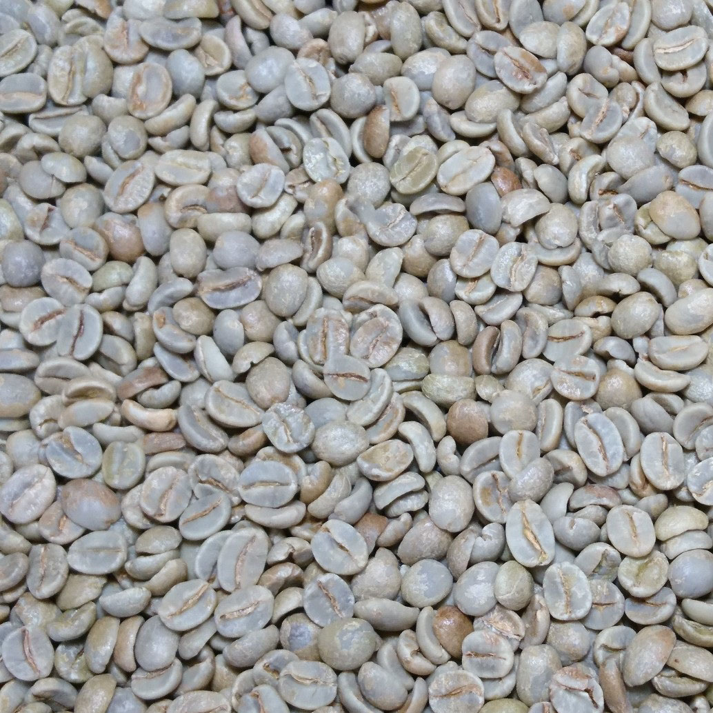 パプアニューギニアAX　タイガットスペシャル　Qグレード　ティピカ100％　生豆　４００／８００ｇ