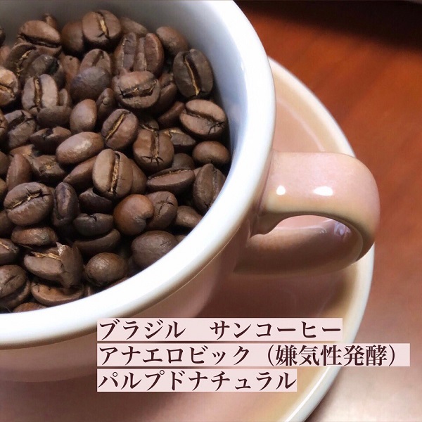 Home Cafe / 【アナエロビック 2種類飲み比べセット 数量限定】コーヒー豆/ブラジル サンコーヒー アナエロビック パルプドナチュラル ＆ ニカラグア  ボスケ農園 アナエロビック ウォッシュド